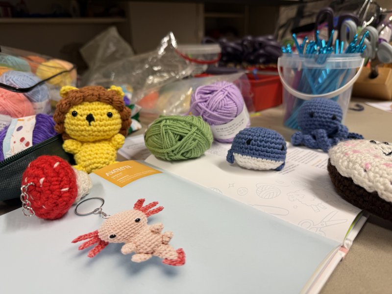 Amigurmis-3.jpeg