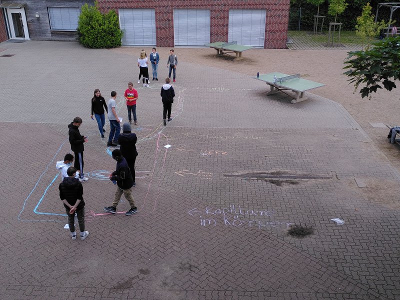 Bio_7G_Schulhof_LAN_20220601-4.jpg